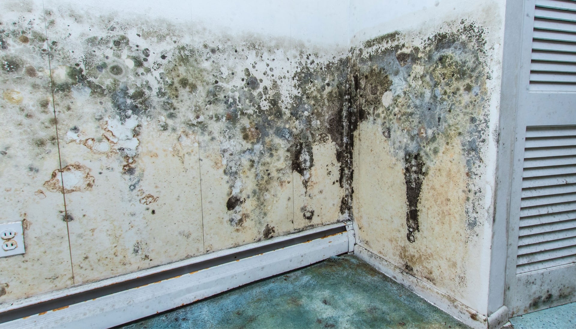 Mold Damage Odor Control Services in Salt Lake City