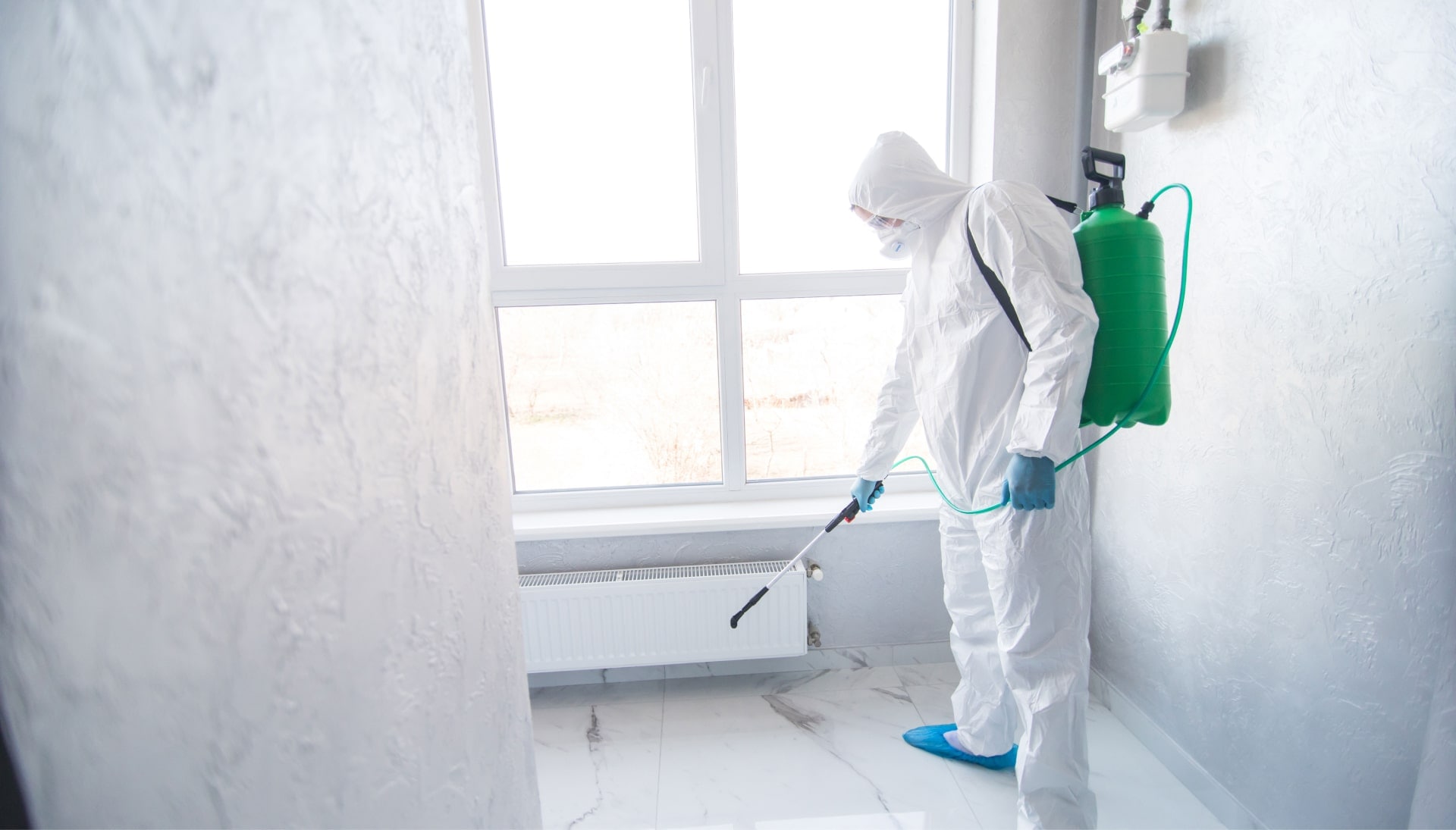 Mold Inspection Services in Salt Lake City